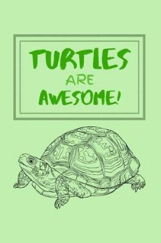 Cover of Turtles Are Awesome!