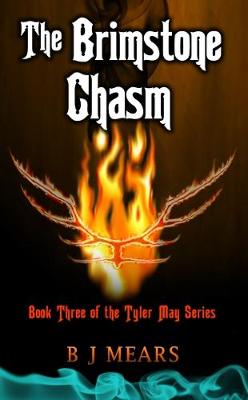 Book cover for The Brimstone Chasm