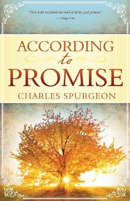 Book cover for According to Promise