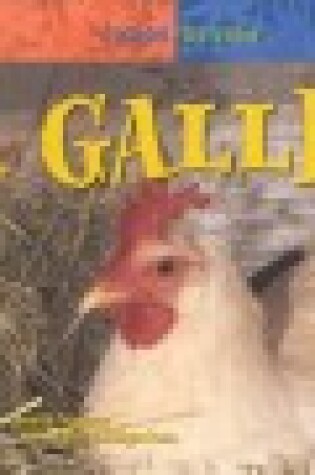 Cover of La Gallina (Chicken)