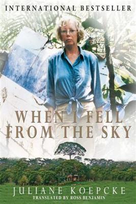 Book cover for When I Fell From the Sky