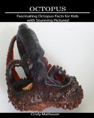 Book cover for Octopus