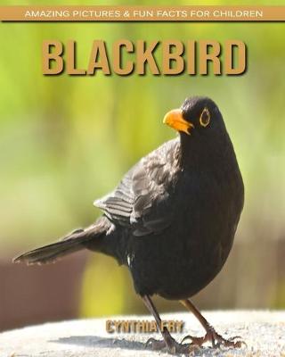 Book cover for Blackbird