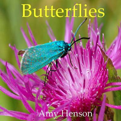 Book cover for Butterflies