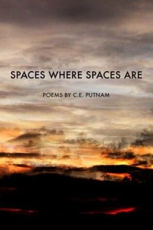 Cover of Spaces Where Spaces Are