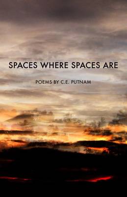 Book cover for Spaces Where Spaces Are