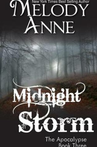 Cover of Midnight Storm