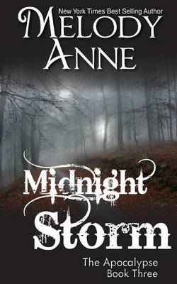 Book cover for Midnight Storm