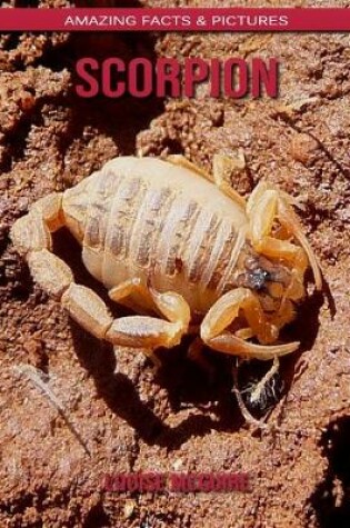 Cover of Scorpion