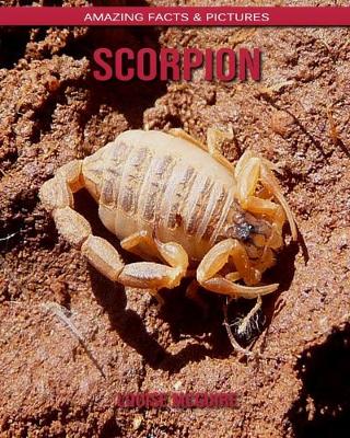 Book cover for Scorpion