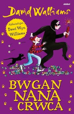 Book cover for Bwgan Nana Crwca