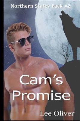 Book cover for Cam's Promise