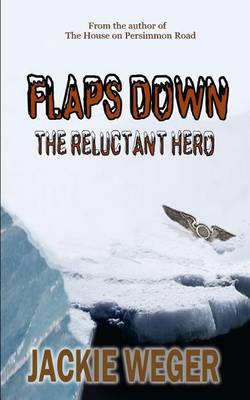 Book cover for Flaps Down