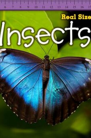 Cover of Insects