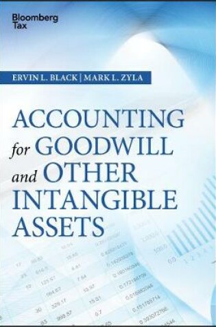 Cover of Accounting for Goodwill and Other Intangible Assets