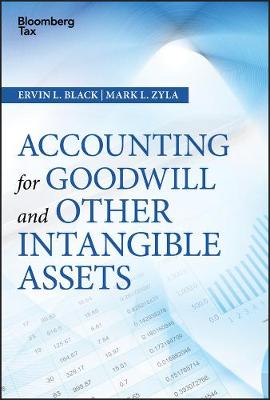 Book cover for Accounting for Goodwill and Other Intangible Assets