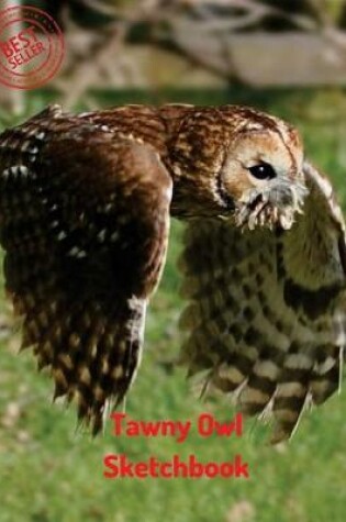 Cover of Tawny Owl Sketchbook