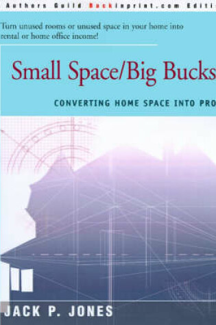 Cover of Small Space/Big Bucks