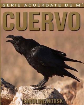 Book cover for Cuervo