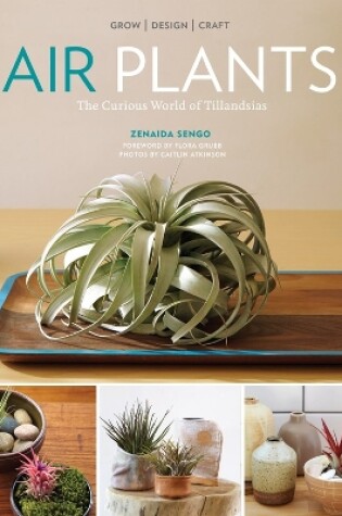 Cover of Air Plants: The Curious World of Tillandsias