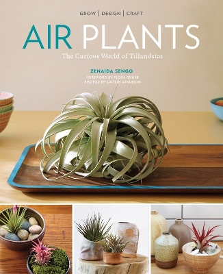 Book cover for Air Plants: The Curious World of Tillandsias