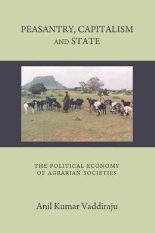 Cover of Peasantry, Capitalism and State