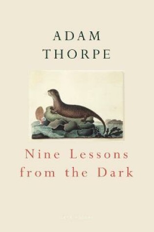 Cover of Nine Lessons From The Dark