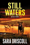 Book cover for Still Waters