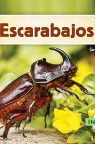 Cover of Escarabajos (Beetles) (Spanish Version)