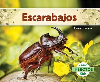 Book cover for Escarabajos (Beetles) (Spanish Version)