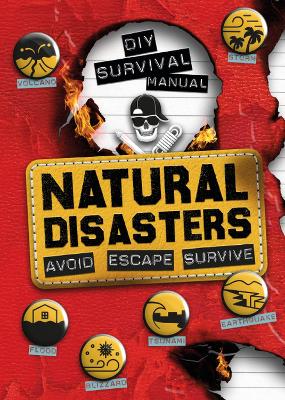 Book cover for DIY Survival Manual: Natural Disasters