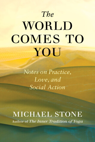 Book cover for The World Comes to You