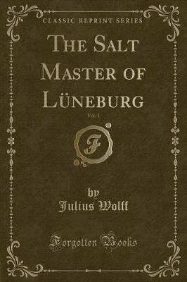 Book cover for The Salt Master of Lüneburg, Vol. 1 (Classic Reprint)