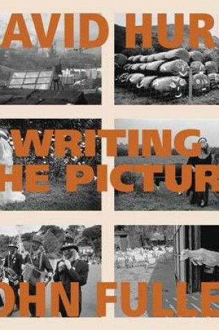 Cover of Writing the Picture