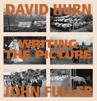 Book cover for Writing the Picture