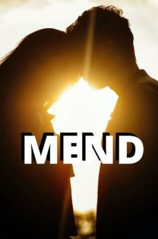 Cover of Mend