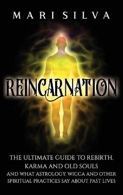 Book cover for Reincarnation