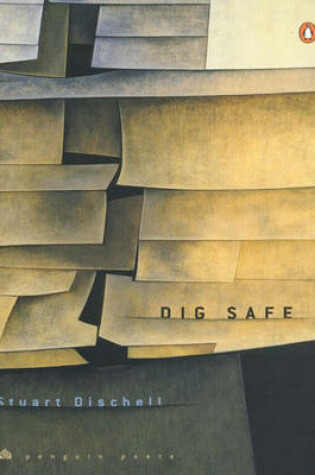 Cover of Dig Safe