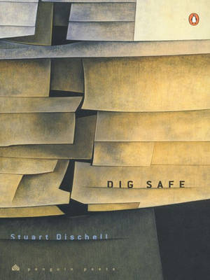 Book cover for Dig Safe