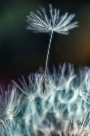 Cover of Journal Dandelion Seed In Wind Close Up