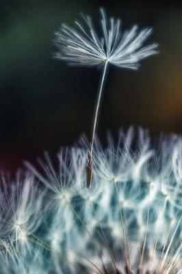 Book cover for Journal Dandelion Seed In Wind Close Up