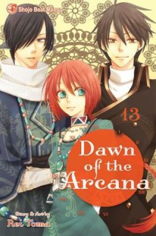 Cover of Dawn of the Arcana, Vol. 13