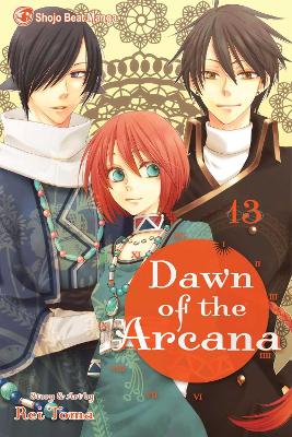 Cover of Dawn of the Arcana, Vol. 13