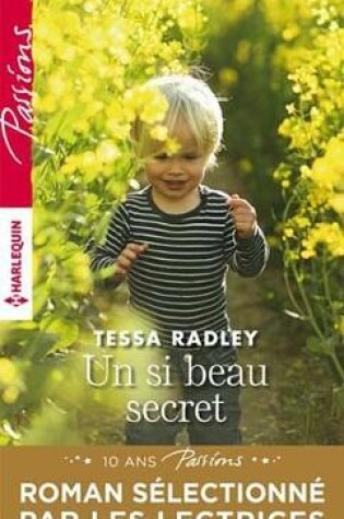 Cover of Un Si Beau Secret