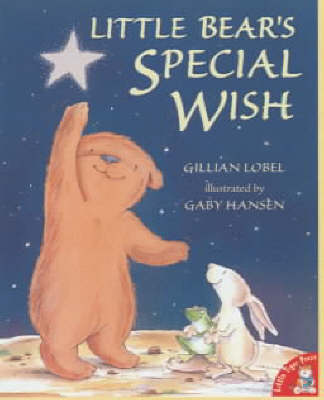 Book cover for Little Bear's Special Wish