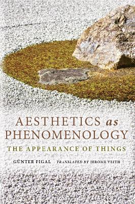 Book cover for Aesthetics as Phenomenology