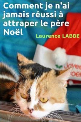 Book cover for Comment je n'ai jamais reussi a attraper le pere Noel