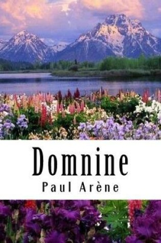 Cover of Domnine