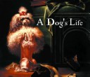 Book cover for A Dog's Life