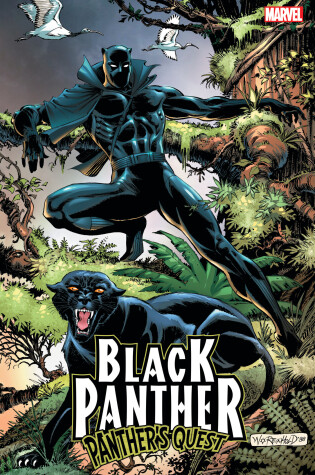 Cover of Black Panther: Panther's Quest